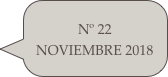 Nº 22 NOVIEMBRE 2018